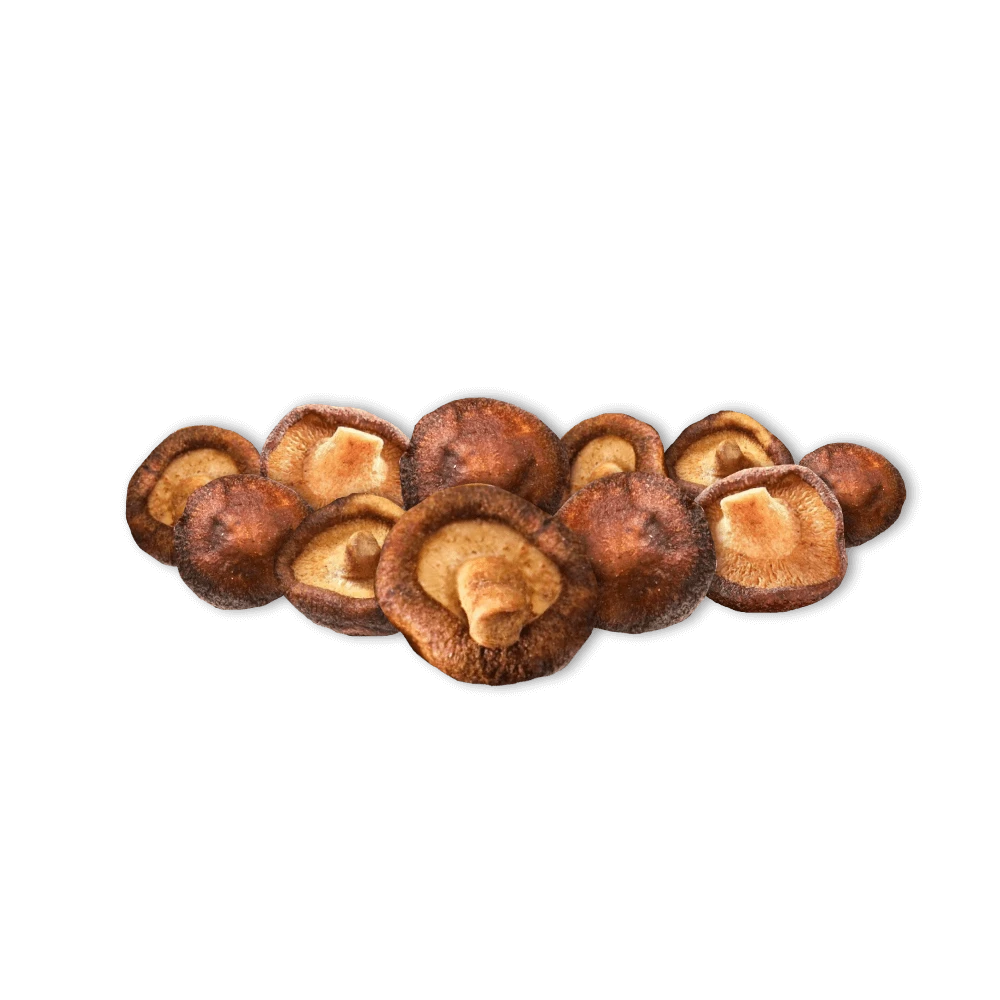 NEW: 24 x Mushroom Dried Chips 60g
